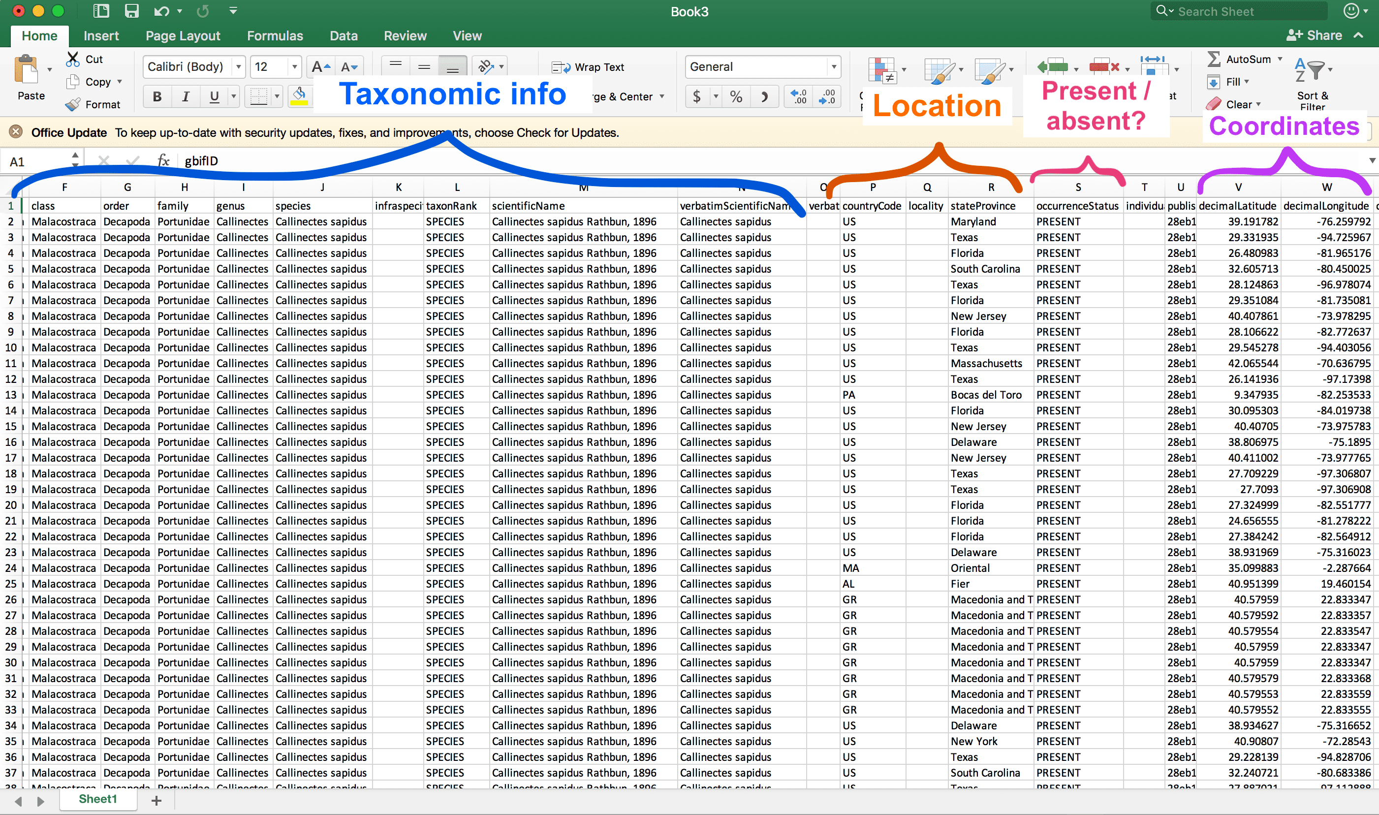 Image of occurrence data open in Microsoft Excel. The columns that are visible describe taxonomic information and the countries, provinces, and coordinates where blue crabs were observed. There&rsquo;s also a column that indicates whether the species was recorded as present or absent.
