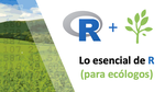 The Basics of R (in Spanish!)