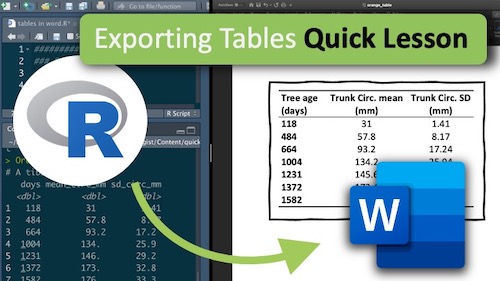 &ldquo;Video thumbnail of tutorial on exporting a dataframe from R into a table in MS Word&rdquo;